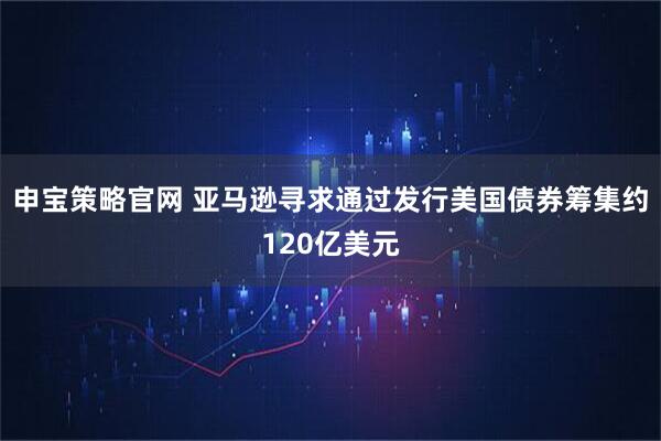 申宝策略官网 亚马逊寻求通过发行美国债券筹集约120亿美元